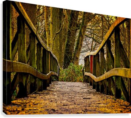 The Bridge Canvas Print
