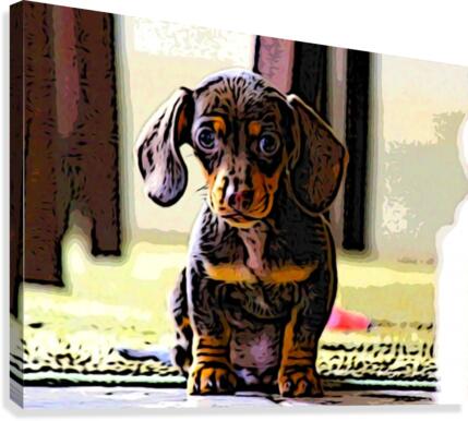 Wishing Canvas Print
