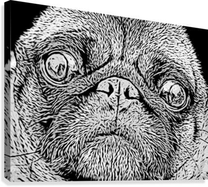 Pug Canvas Print