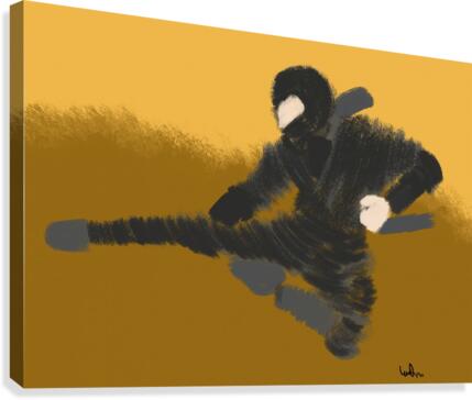 The Ninja Canvas Print
