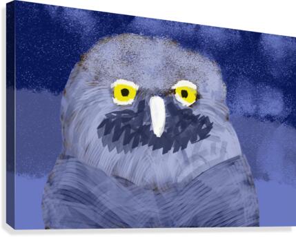 snow owl Canvas Print