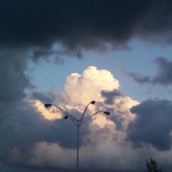 Beautiful Contrast 