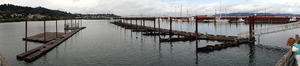 Astoria Docks and Sea Lions