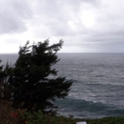 Cape Meares Lighthouse Family