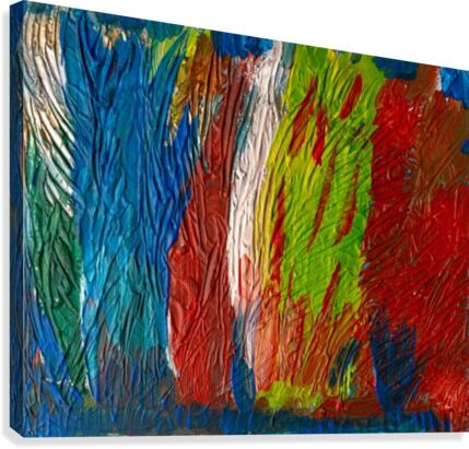 ECLECTIC Canvas Print