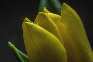 044A0918