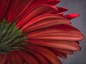 Red mood 10
