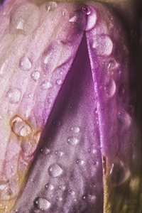 044A1417