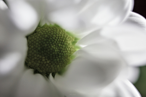 044A0531 2