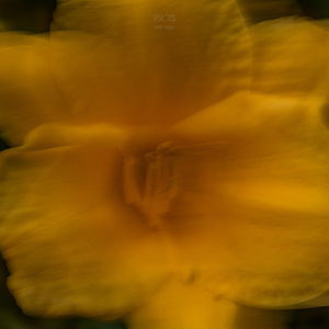 044A8954