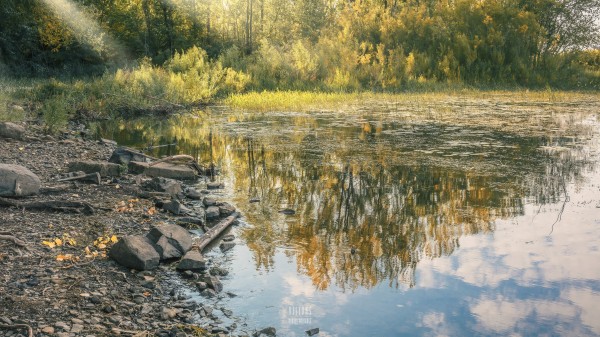 Monet style 4 by Daniel Thibault artiste-photographe