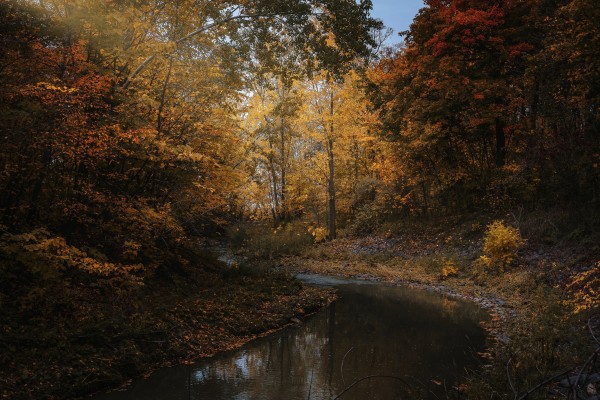 Lumiere automnale by Daniel Thibault artiste-photographe
