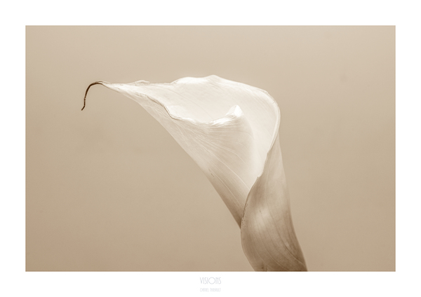 044A3520 by Daniel Thibault artiste-photographe
