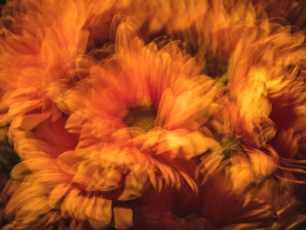 044A3078 by Daniel Thibault artiste-photographe