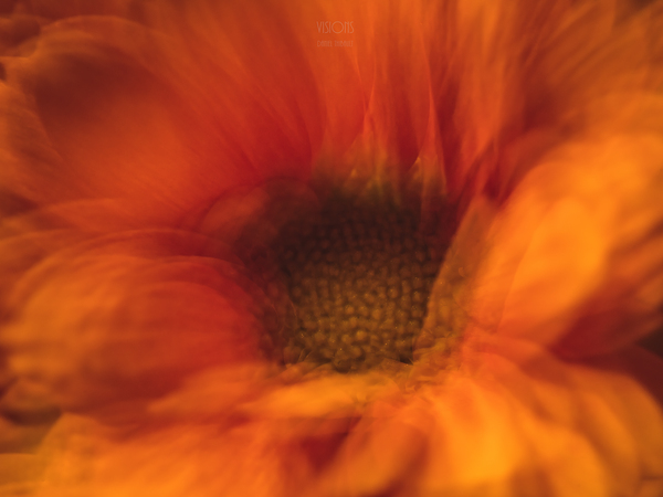044A3071 by Daniel Thibault artiste-photographe