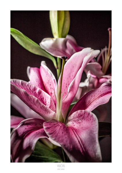 044A2829