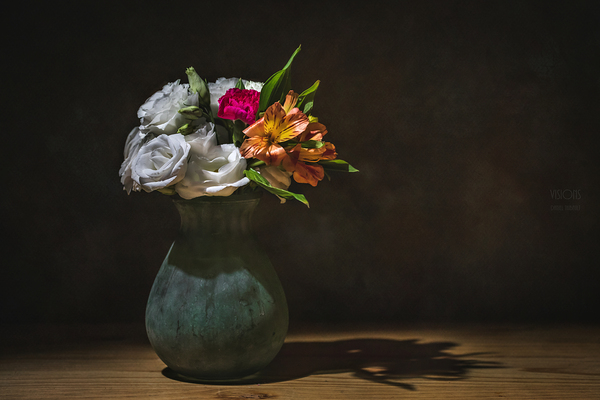 044A3215 by Daniel Thibault artiste-photographe