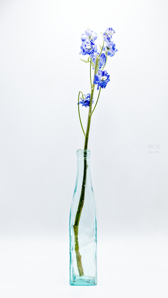 044A3502 by Daniel Thibault artiste-photographe