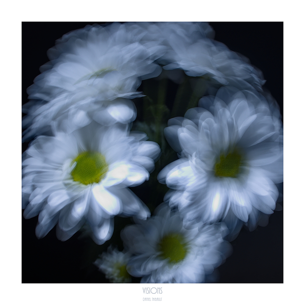 1Q8A1062 by Daniel Thibault artiste-photographe