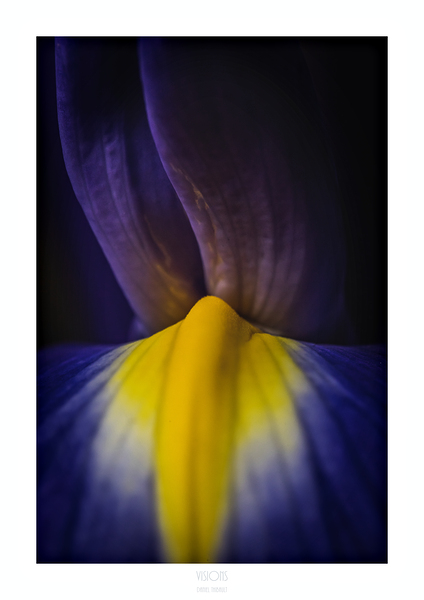 044A3858 by Daniel Thibault artiste-photographe