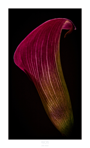 044A3646 by Daniel Thibault artiste-photographe