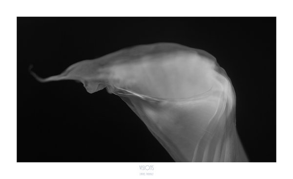 1Q8A1226 by Daniel Thibault artiste-photographe