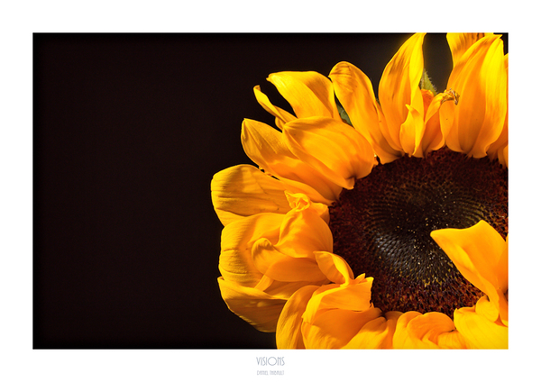 1Q8A1131 by Daniel Thibault artiste-photographe