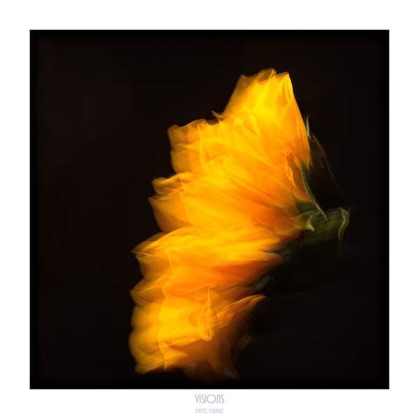 1Q8A1151 by Daniel Thibault artiste-photographe