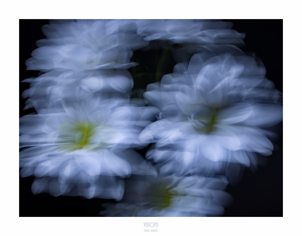 1Q8A1070 by Daniel Thibault artiste-photographe
