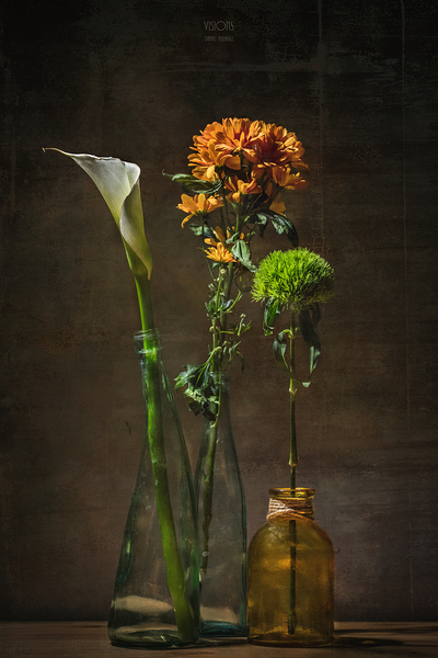 044A3131 by Daniel Thibault artiste-photographe