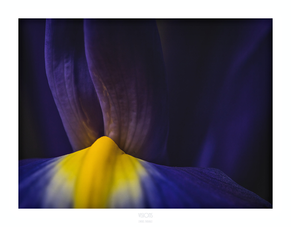 044A3857 by Daniel Thibault artiste-photographe
