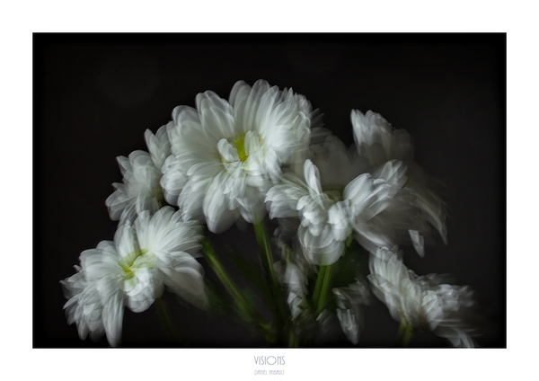 1Q8A1161 by Daniel Thibault artiste-photographe