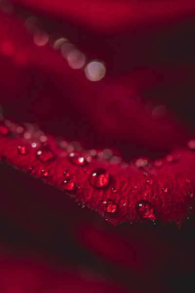 044A4079 by Daniel Thibault artiste-photographe