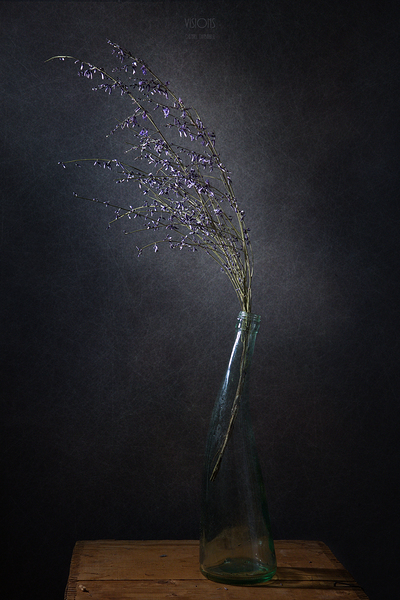 1Q8A7525 by Daniel Thibault artiste-photographe