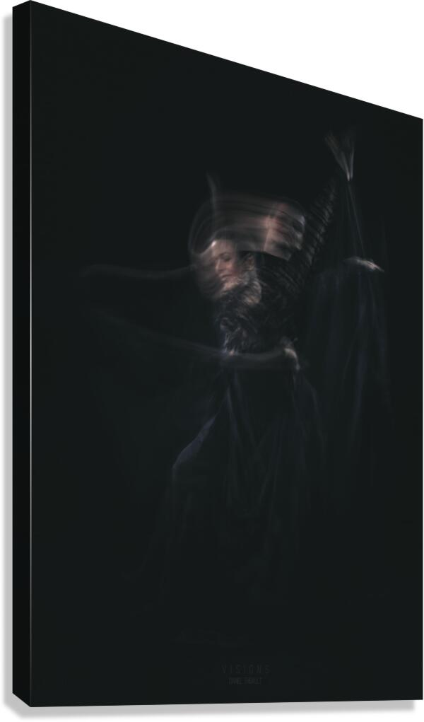 Harmonie  Canvas Print