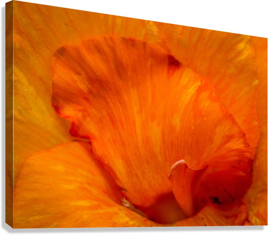  44A5609 Canvas Print