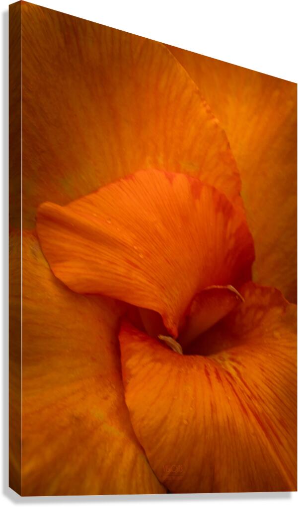  44A5604 Canvas Print