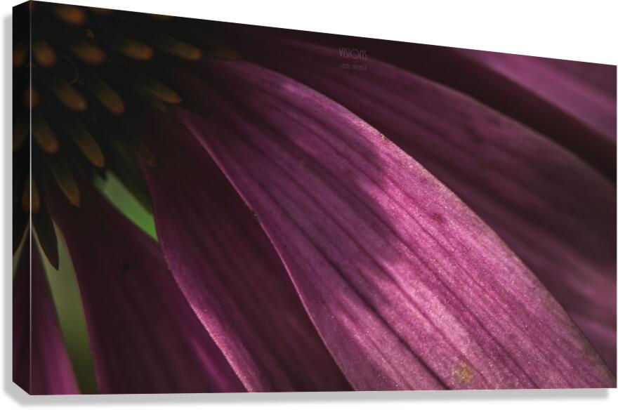  44A6012 Canvas Print