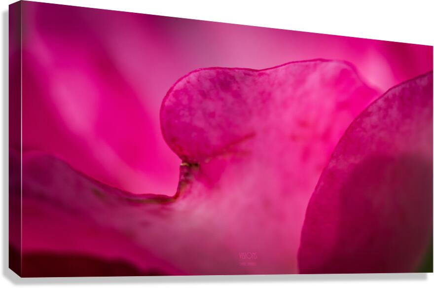  44A6011 Canvas Print