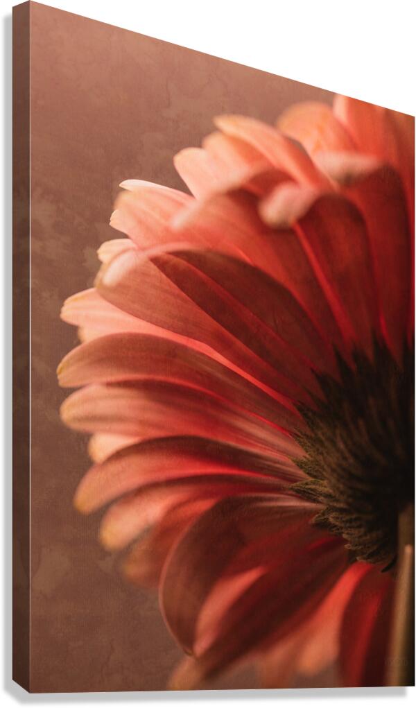  44A6700 Canvas Print