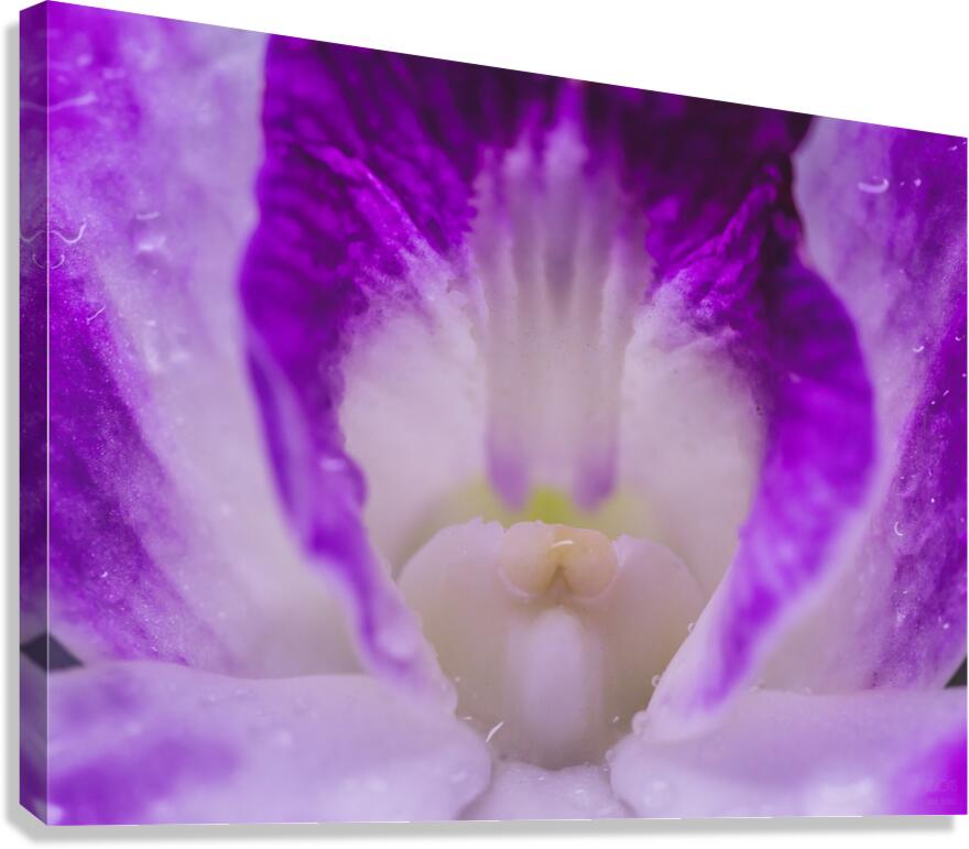  44A6826 Canvas Print