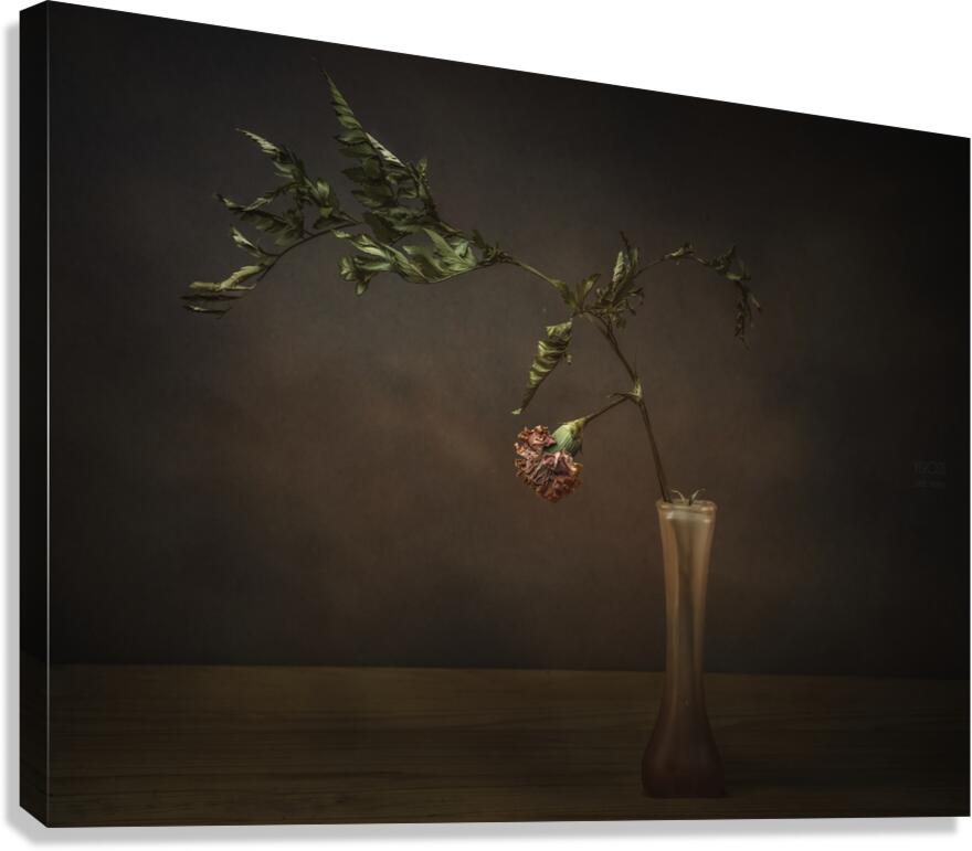  44A6899 Canvas Print