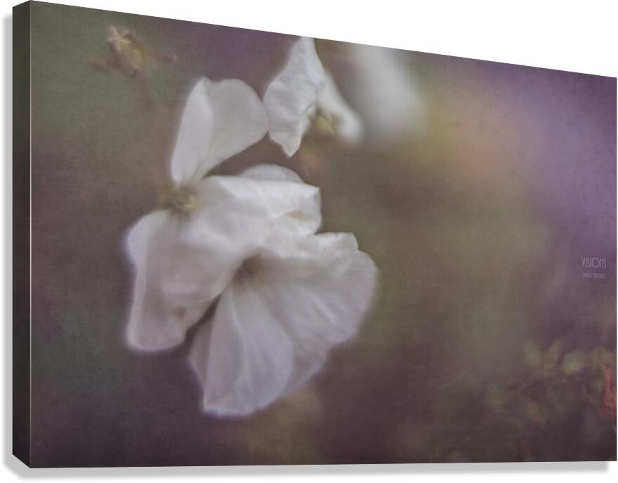  44A7910 Canvas Print