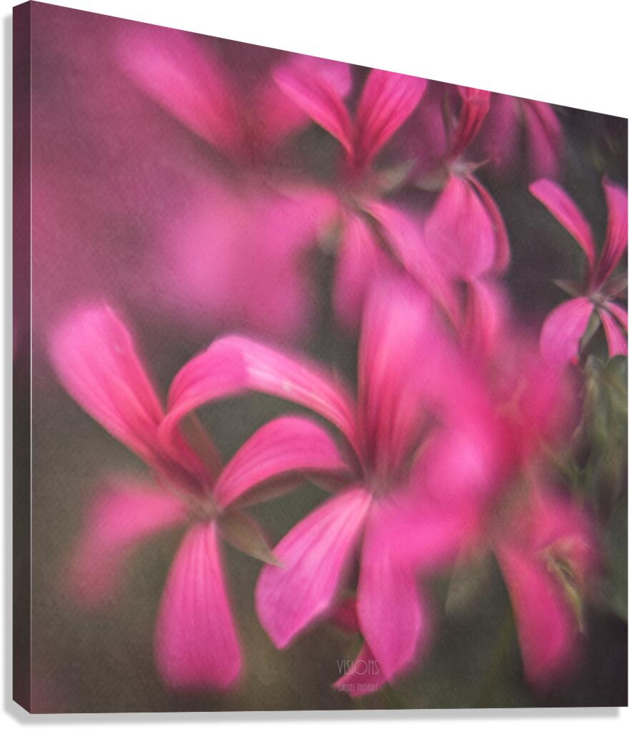  44A7872 Canvas Print