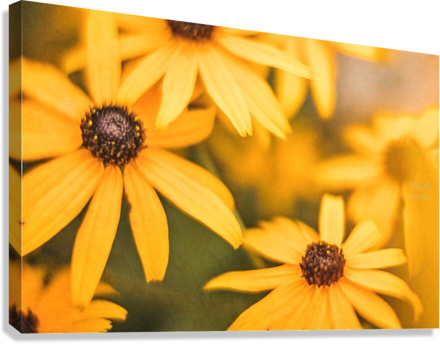  44A7893 Canvas Print