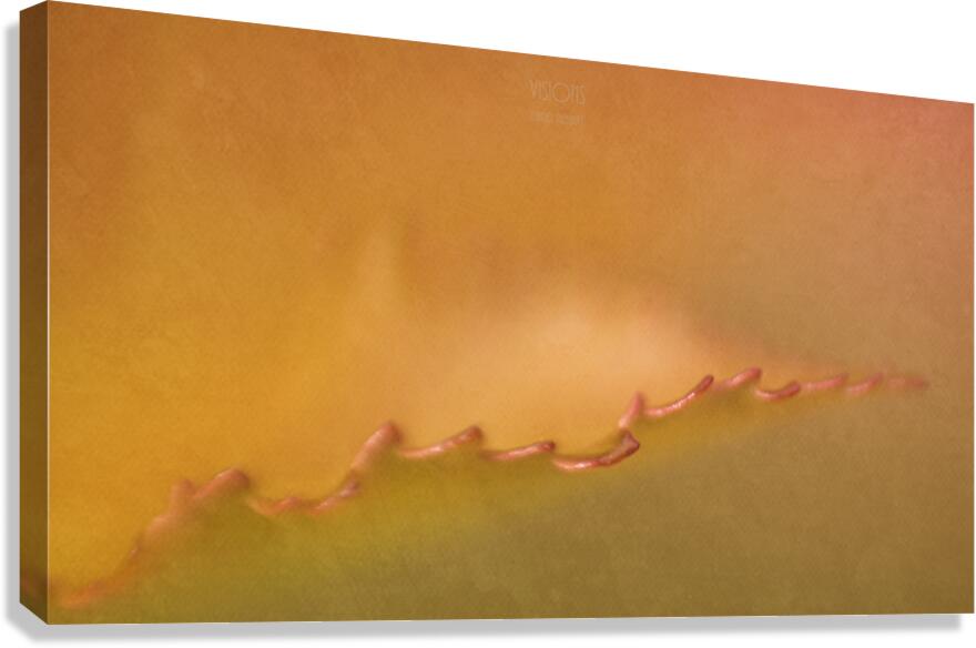  44A8053 Canvas Print