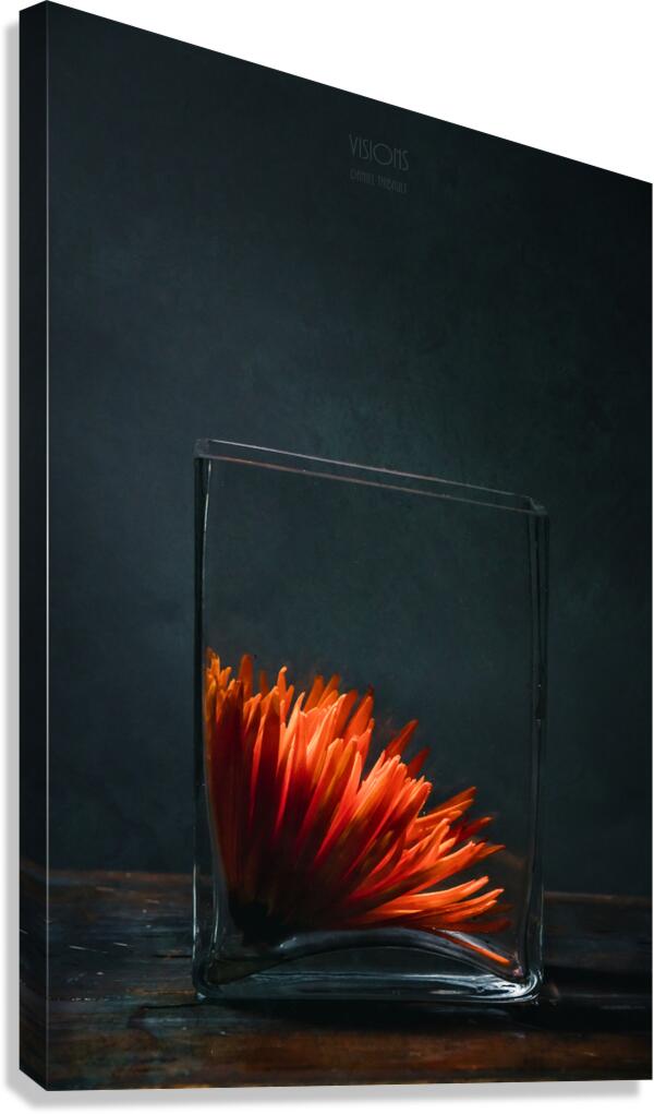  85A0302 Canvas Print