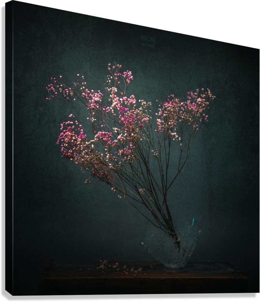  85A0249 Canvas Print