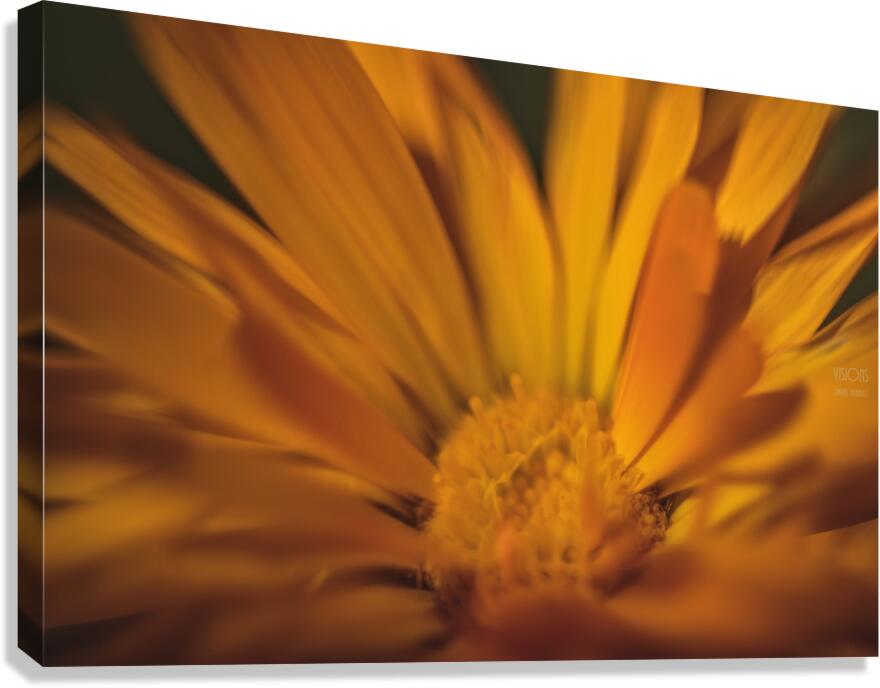 44A8201 Canvas Print