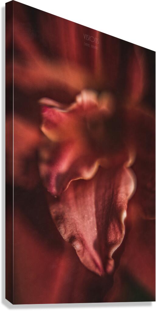  44A8303 Canvas Print
